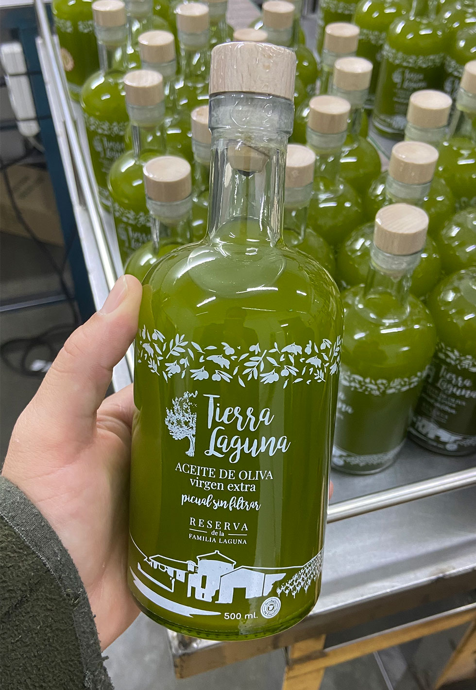 Aceite de Oliva Virgen Extra Fresco Nueva Cosecha Sin Filtrar Cosecha Temprana 2026-2027